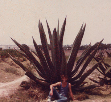 Dino in Mexico